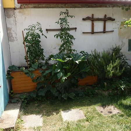 Alla Kittsee Exterior foto